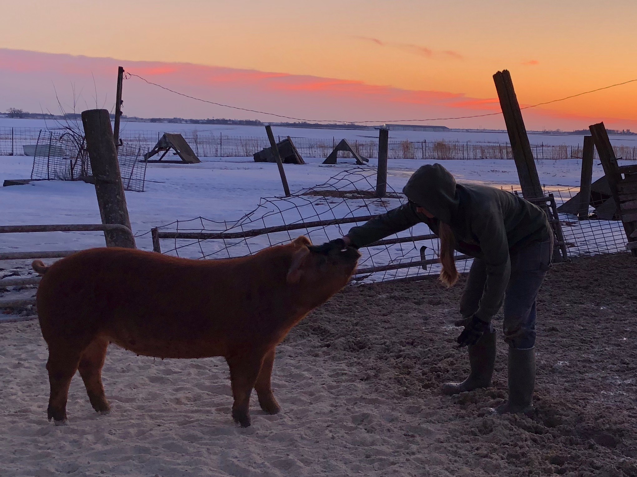 Niman Ranch Farmer and Hog