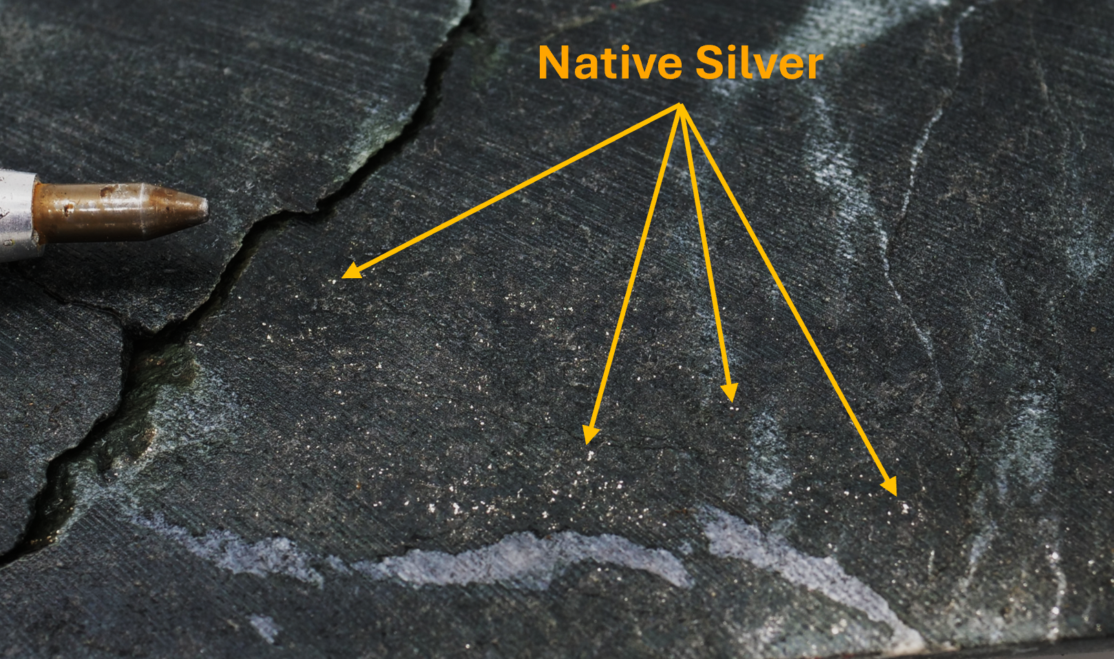 Figure 1 Photo 342 b 