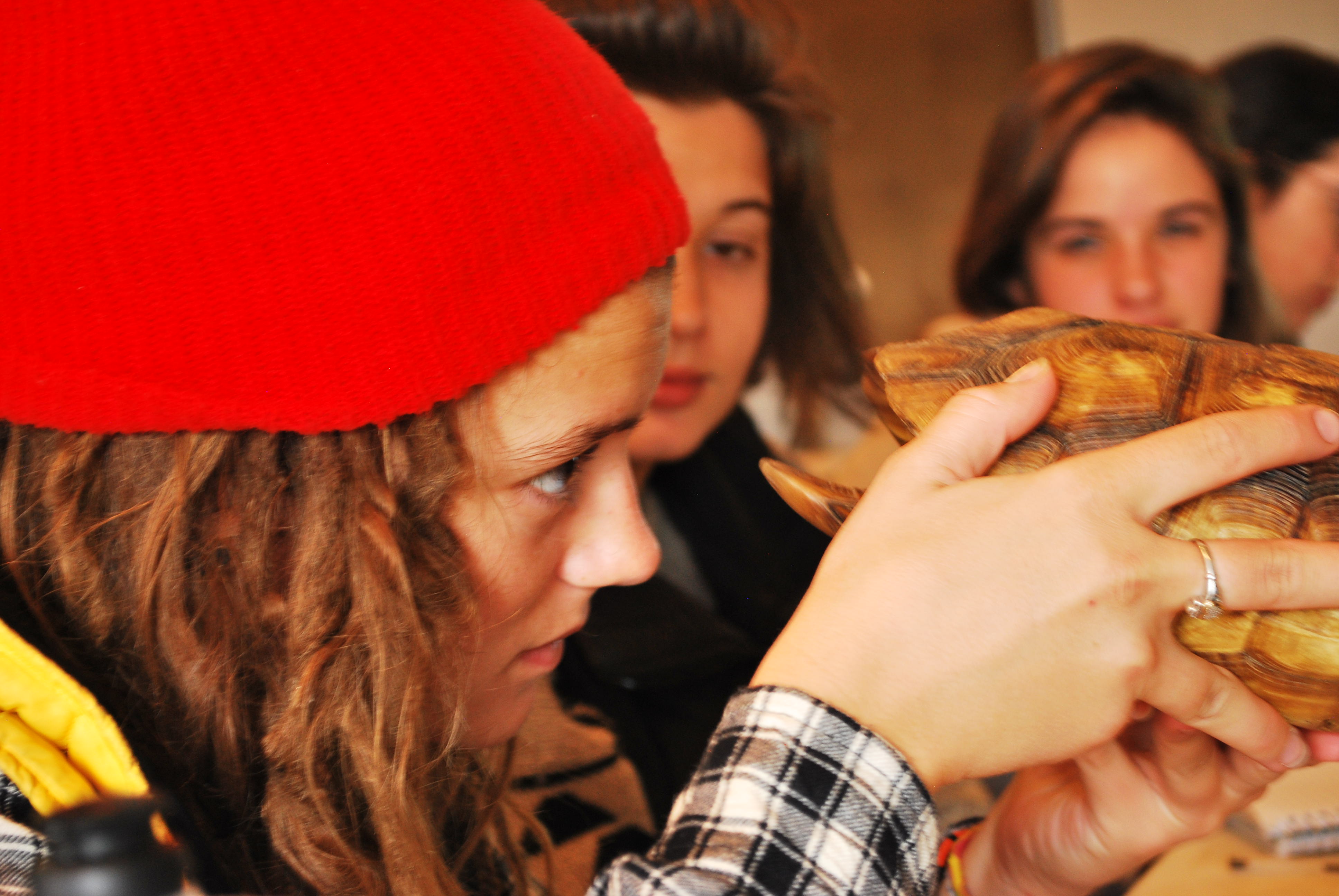 Prescott College Environmental Education students engaged in hands-on, experiential learning.