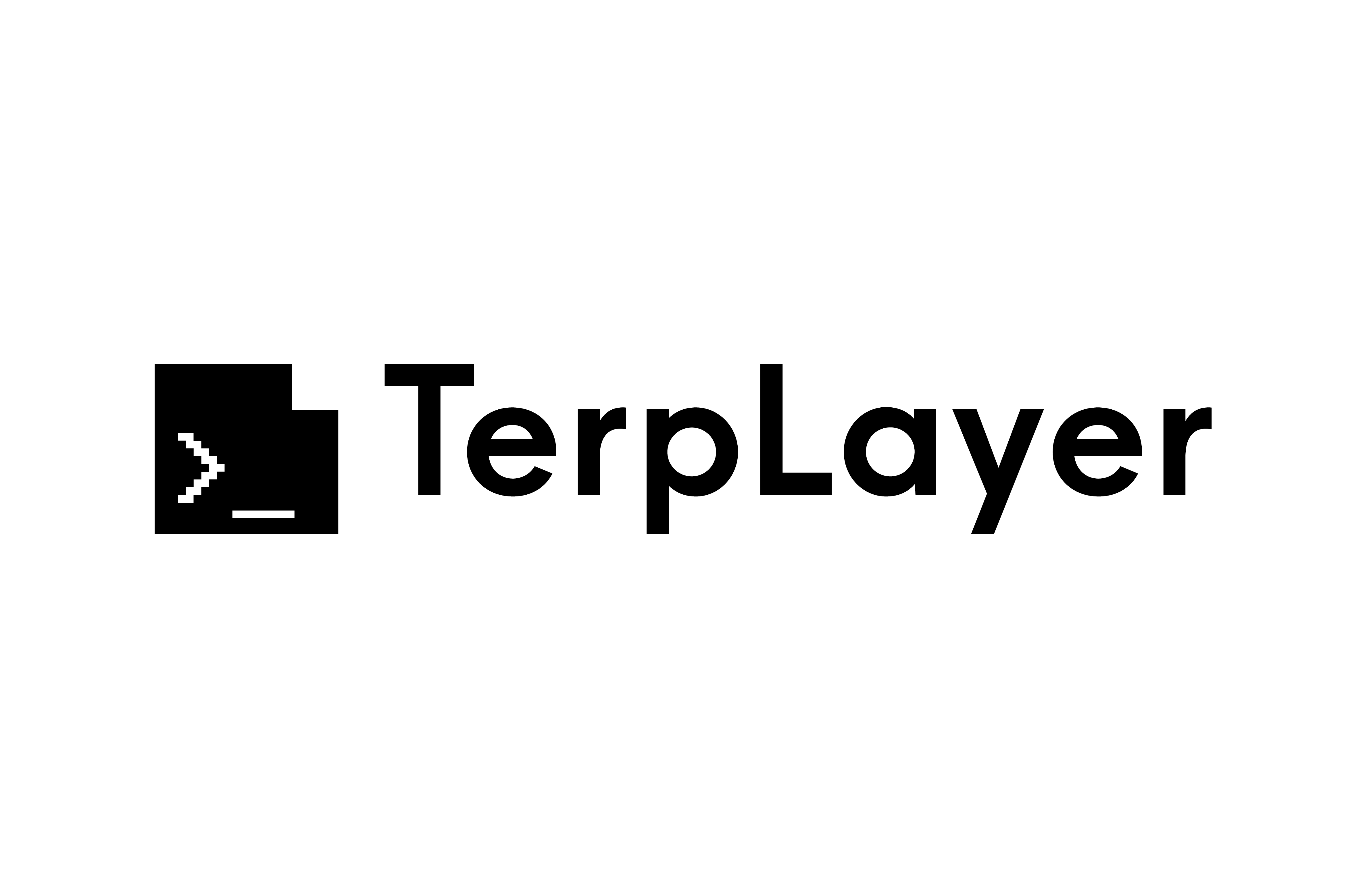 TerpLayer Logo.png