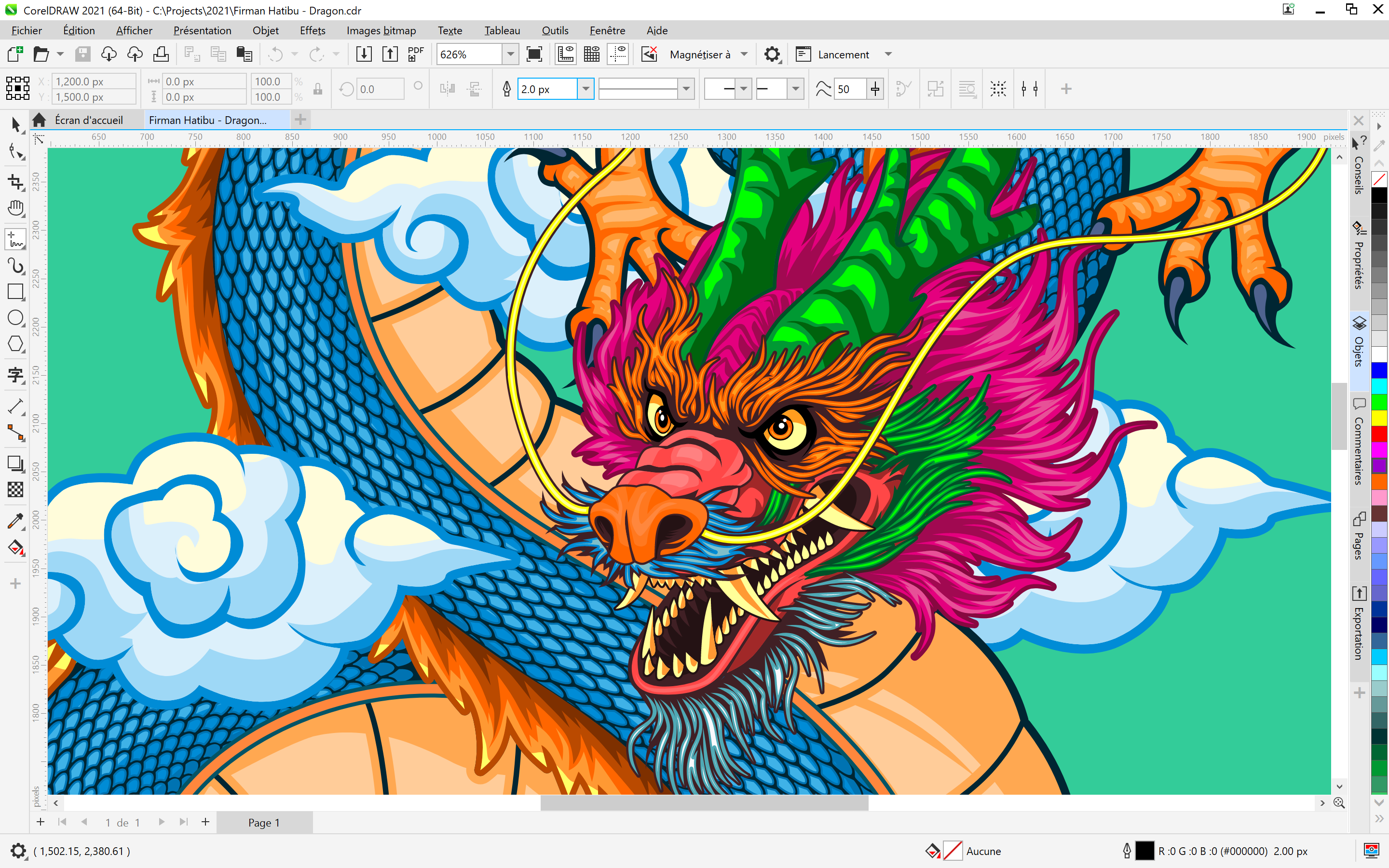 CorelDRAW Graphics Suite 2021