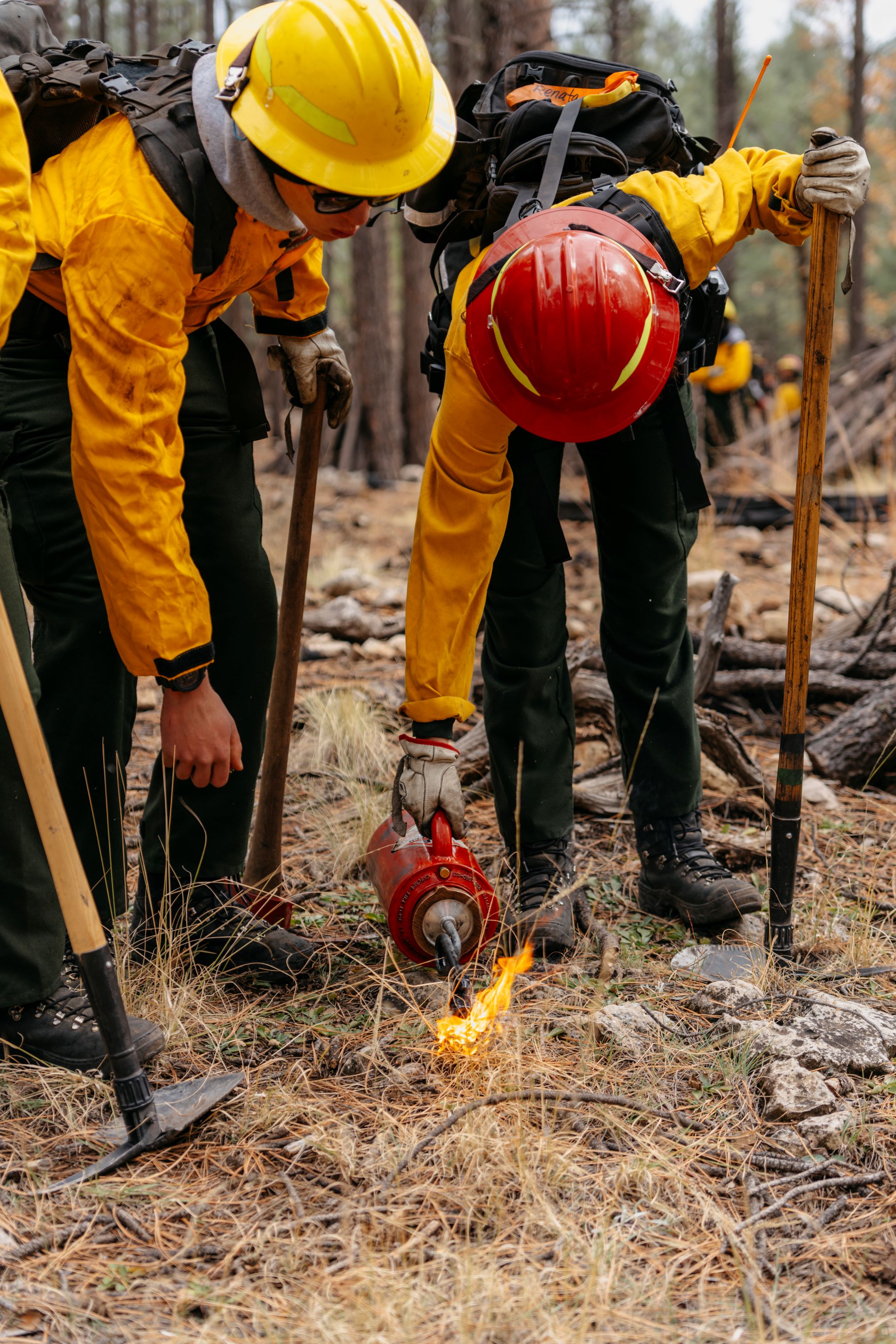 AmeriCorps NCCC Forest Corps members serving in the Coconino National Forest in Arizona preparing for prescribed burn..