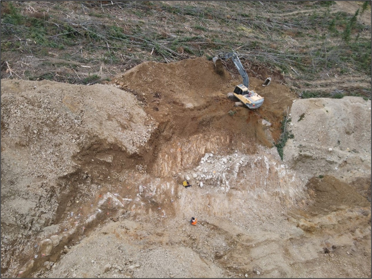 Figure 3. Quartz gold vein (in white) at the Tiger 1 trench