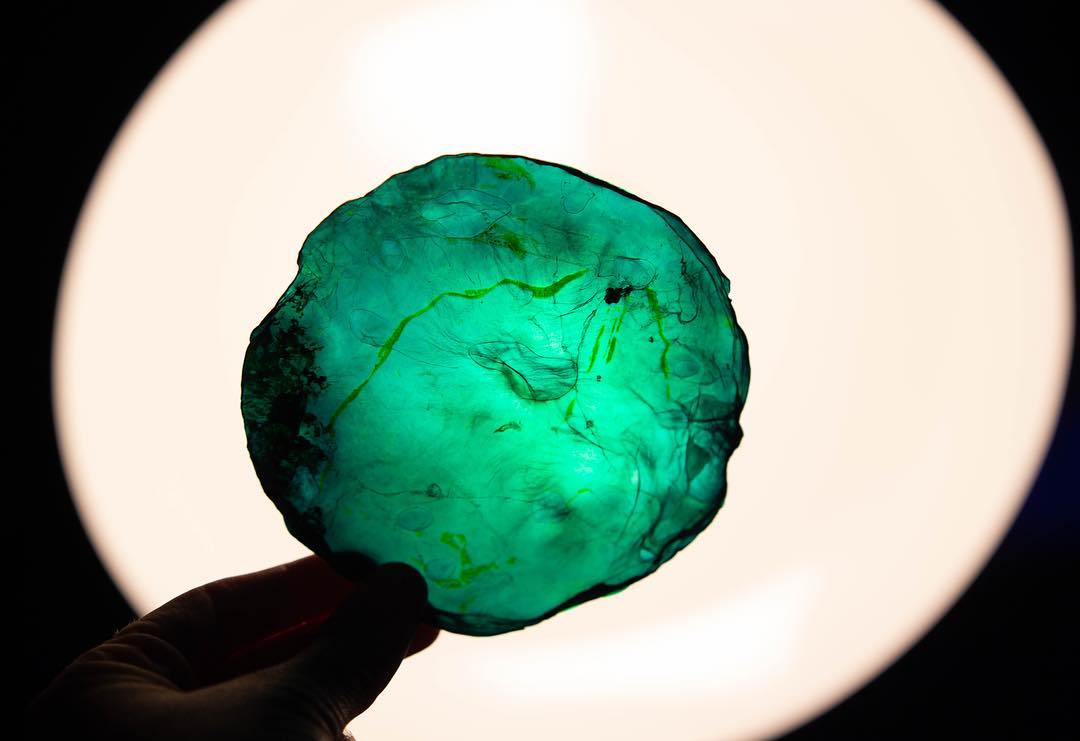 A visitor holds up a bright green piece of microbe material grown in the BioTinkering Lab at The Tech Interactive. Visitors can experiment with creating different mixtures for color and thickness and create a colorful momento from material grown from others. Made possible by a Science Education Partnership Award (SEPA) from the National Institutes of Health (NIH)