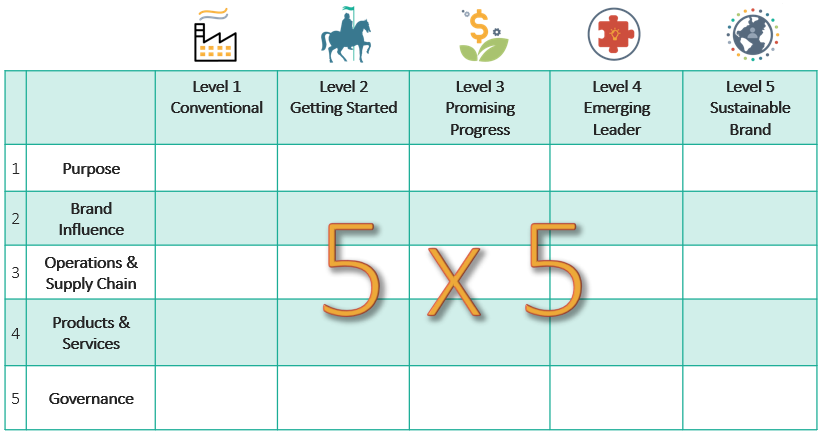 SB Brand Transformation Roadmap 5X5 Matrix