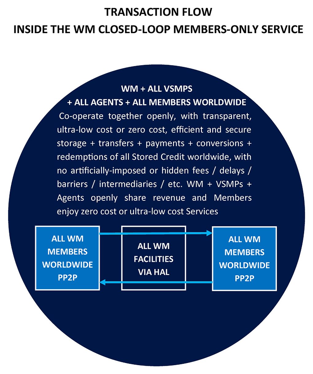 WM Transaction Flows 