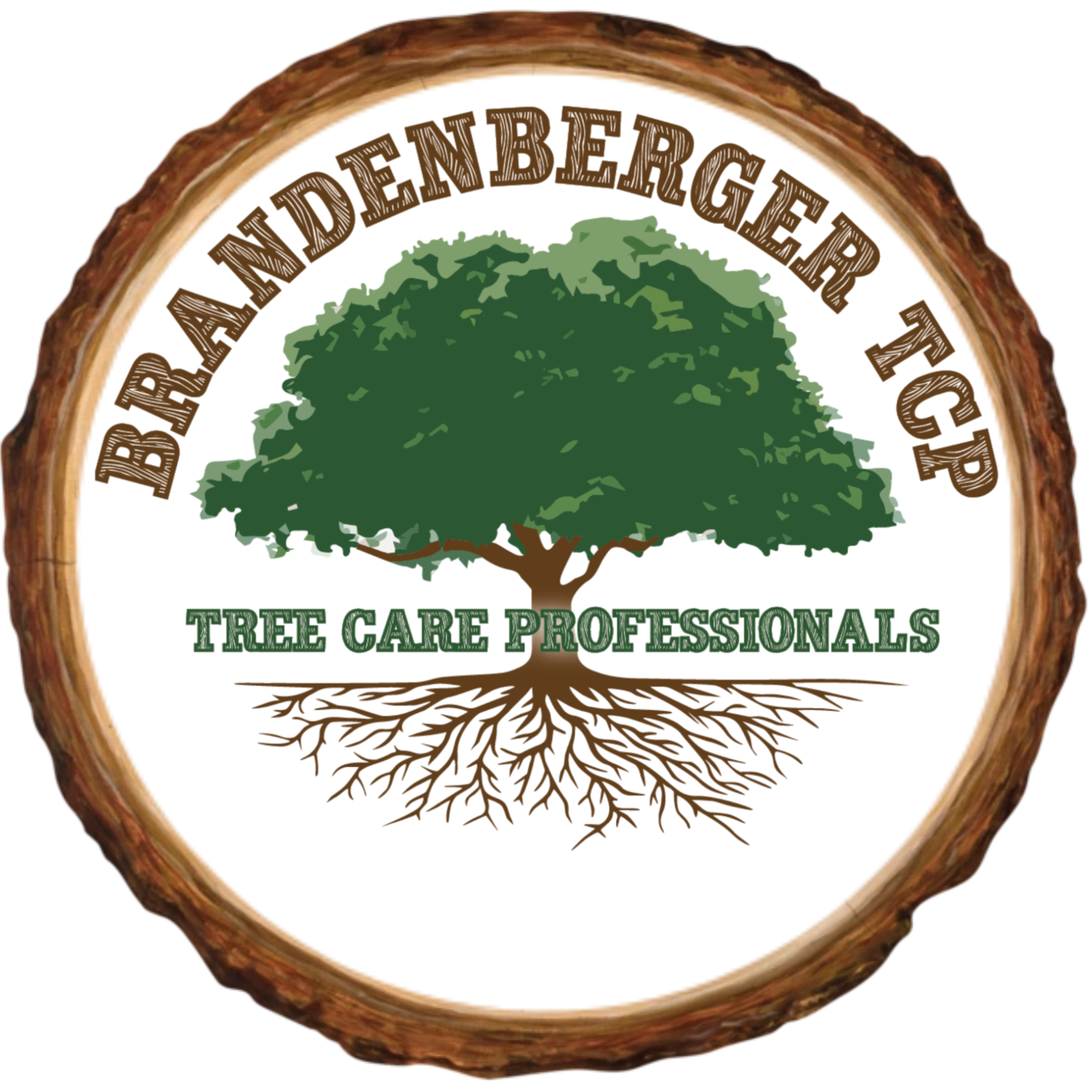 Brandenberger Tree C