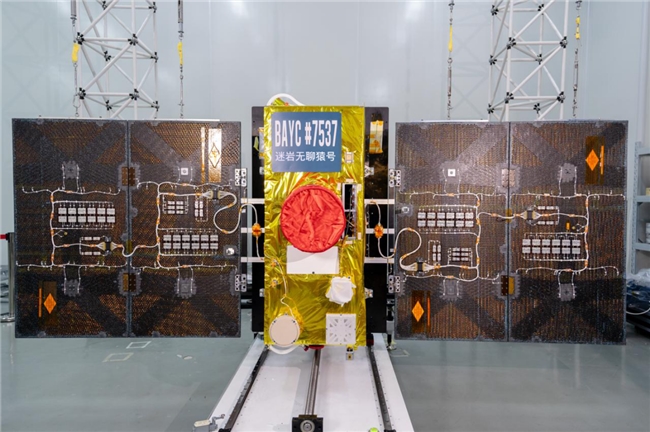 BAYC Satellite