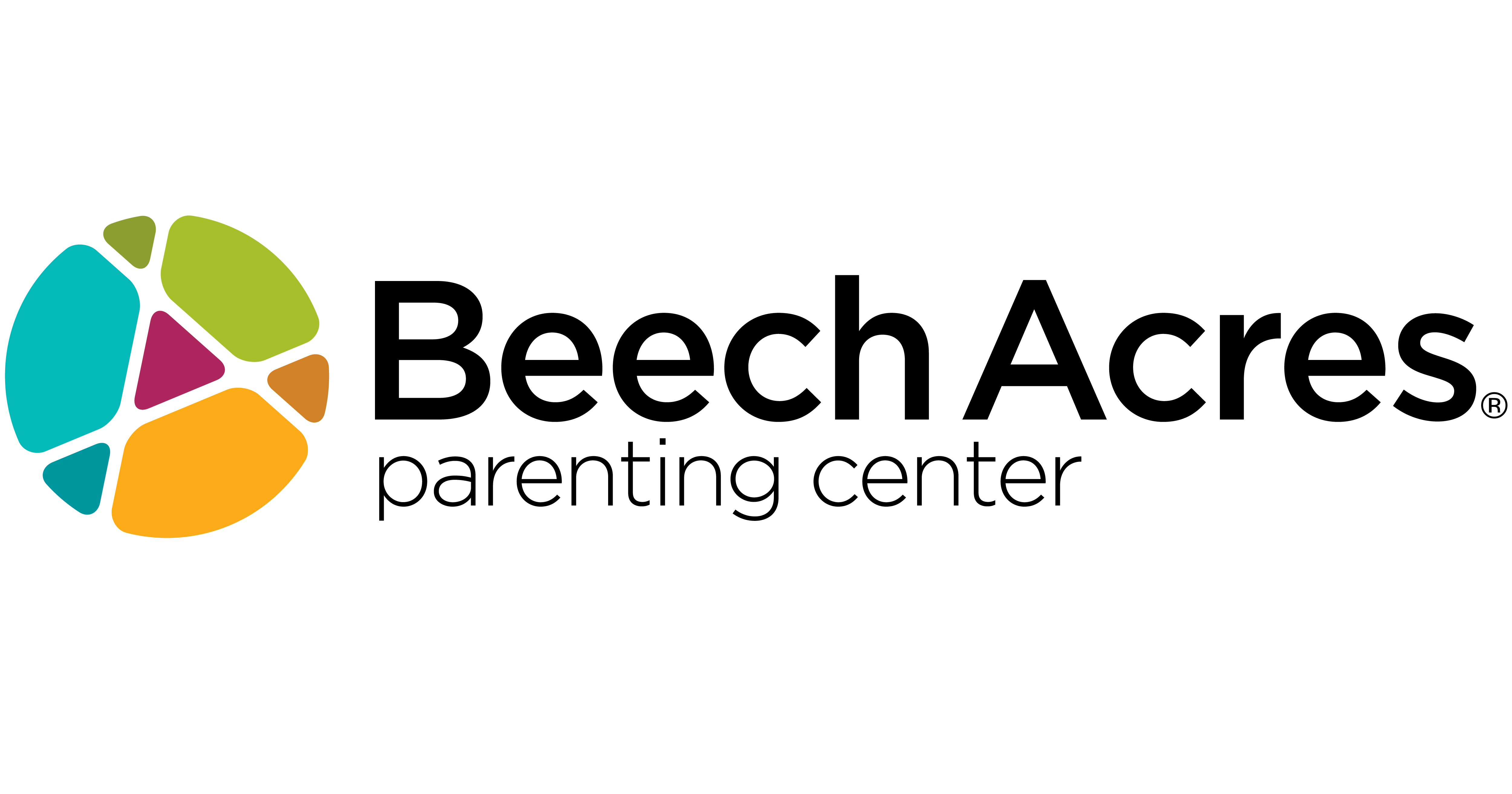 BAPC logo 1200x630.png