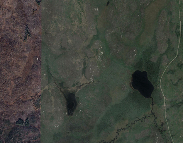 Overhead view of Lithium Two, showing numerous white outcrops of potential pegmatite-bearing rock