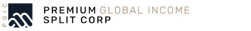 Premium Global logo.jpg