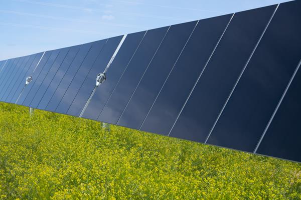 Through a partnership with Getka and Unimot, First Solar will supply 30 megawatts (MW) of advanced, American thin film photovoltaic (PV) solar panels to power a portfolio of projects in Poland.