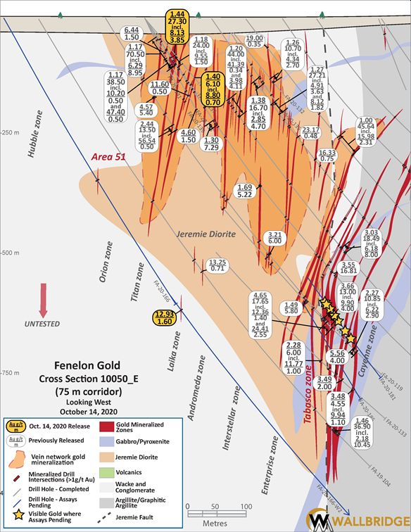 Fenelon Gold, 10050 Cross Section