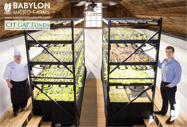 “The idea for Babylon Micro-Farms was born in a social entrepreneurship class at UVA, when a professor asked my co-founder Graham and I to develop a high impact, low cost product that could help refugees. I quickly discovered and became interested in hydroponics, a way to grow plants without soil, use less water, and grow crops faster,” said Alexander Olesen, Co-Founder and CEO at Babylon Micro-Farms. “Our mission is to develop technology that will inspire a new generation of urban farmers to grow their own fresh, affordable, sustainable produce at the push of a button. We are grateful for the support of CIT GAP funds at this stage of our development.”
