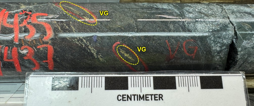 12-4990-019_vg