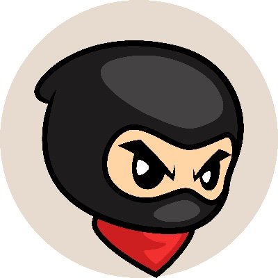 WallStreetNinja Logo.jpg