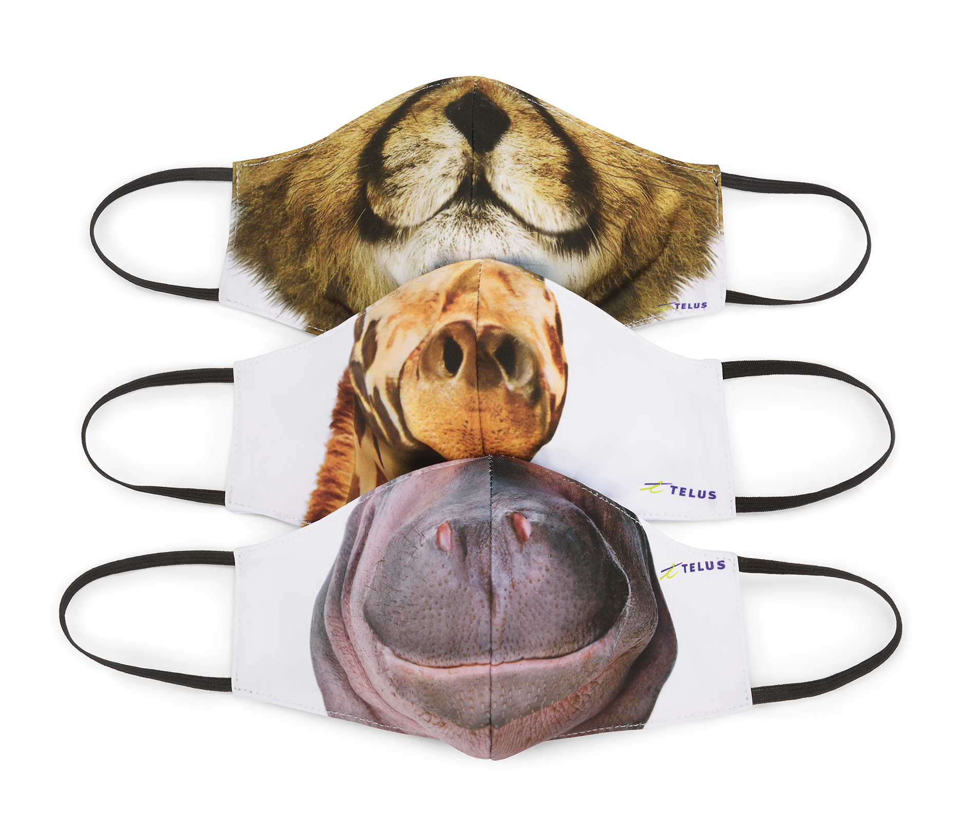 Trio_Pack_Hippo_Straight@1620p