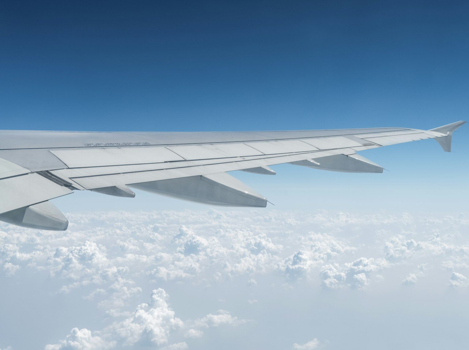 A shareholder has sued American Airlines Group Inc. for making false statements.