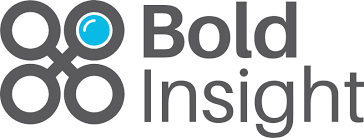 Bold Insight logo.png