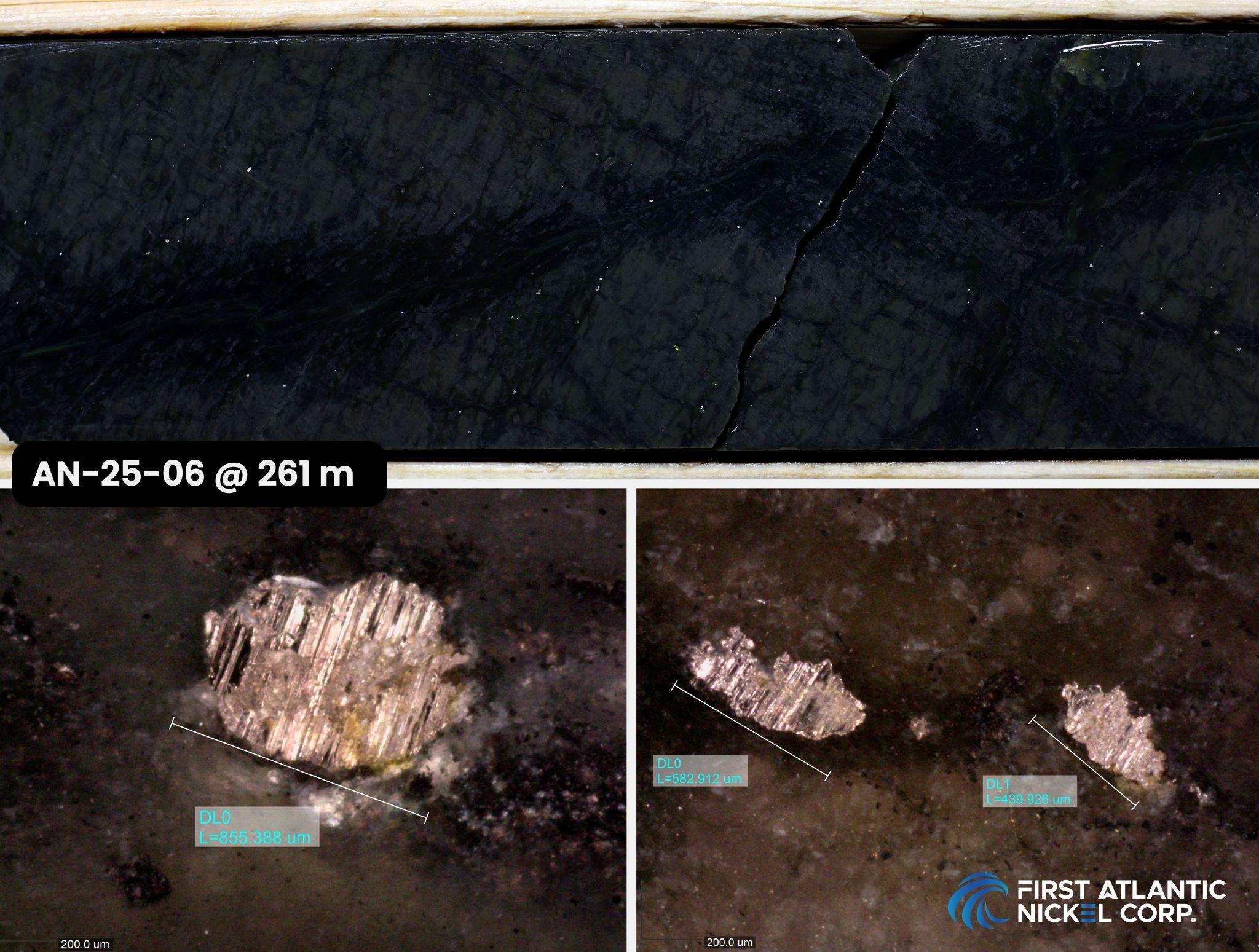 First Atlantic Nickel Corp,