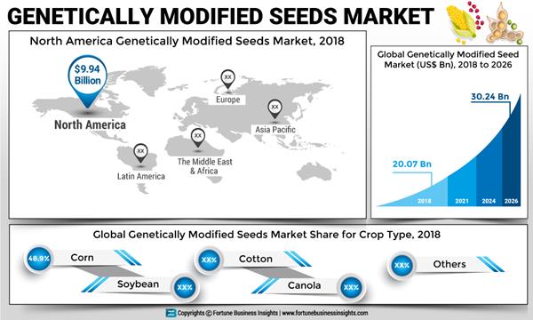 GENETICALLY MODIFIED SEEDS