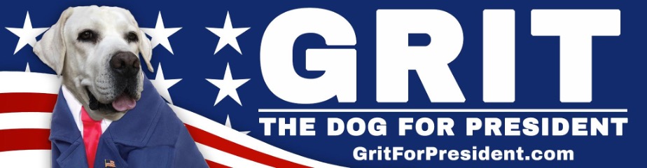 Grit The Dog For Pre