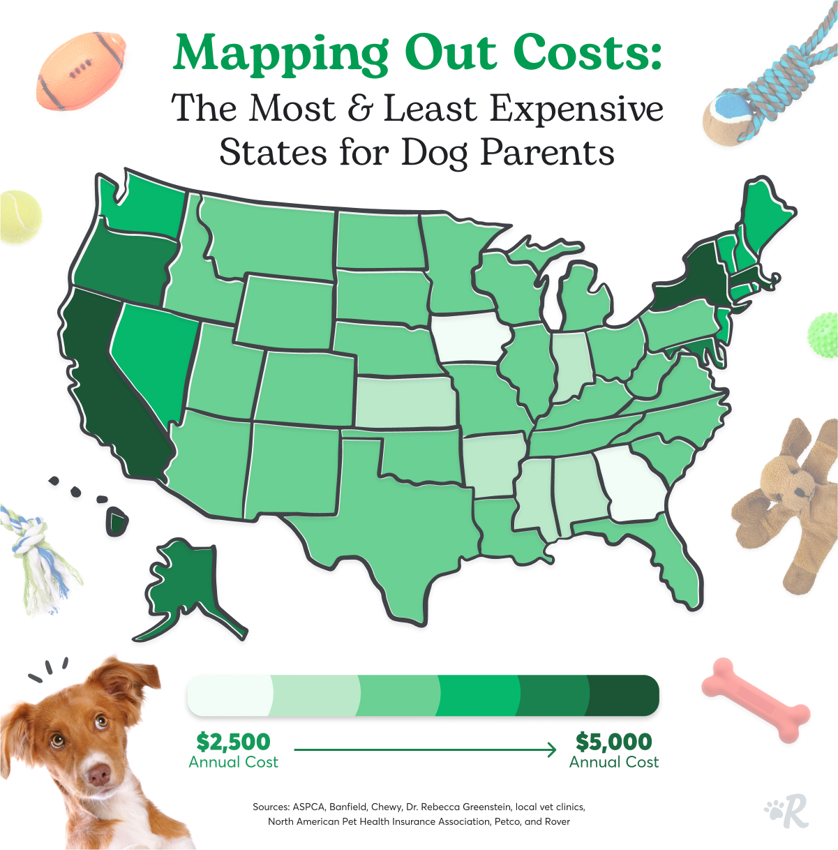 RoverBranded_CostOfPetParenthood_2025_Heat-Map-Dog_US