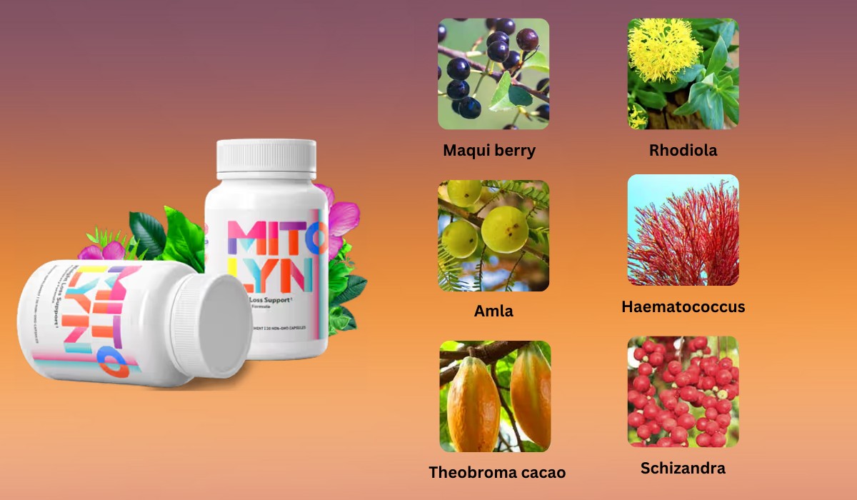 Mitolyn Ingredients