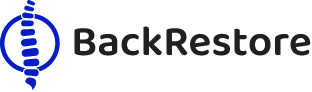 BackRestore logo.png