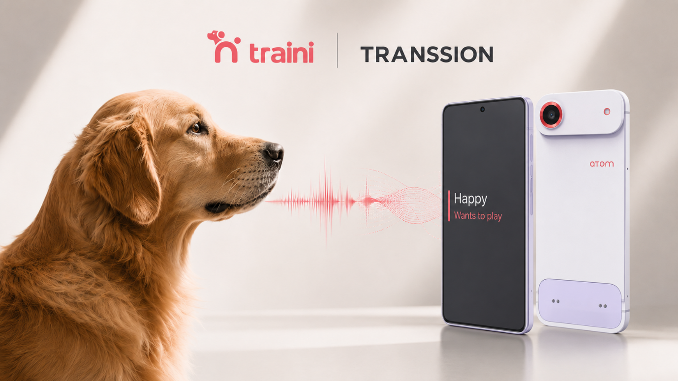 Traini 