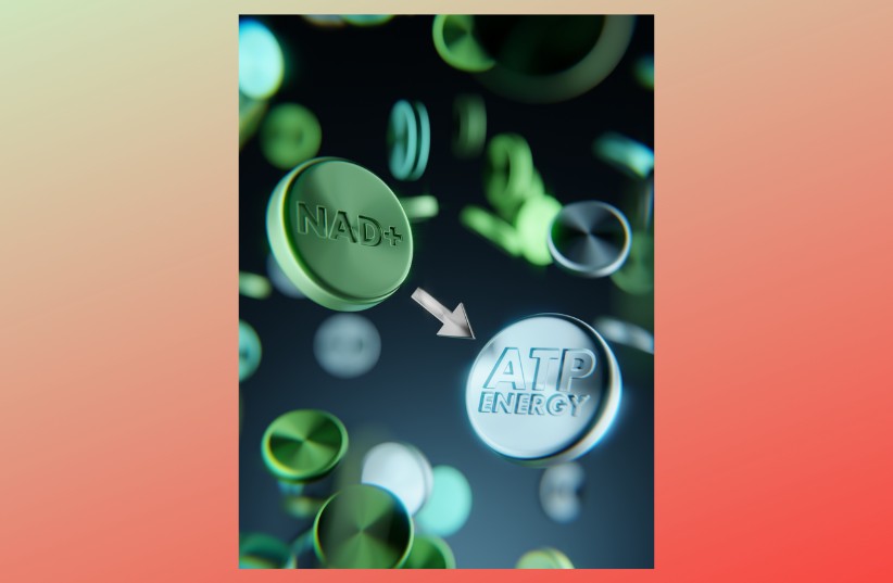 Ingredients in NooCube NAD+