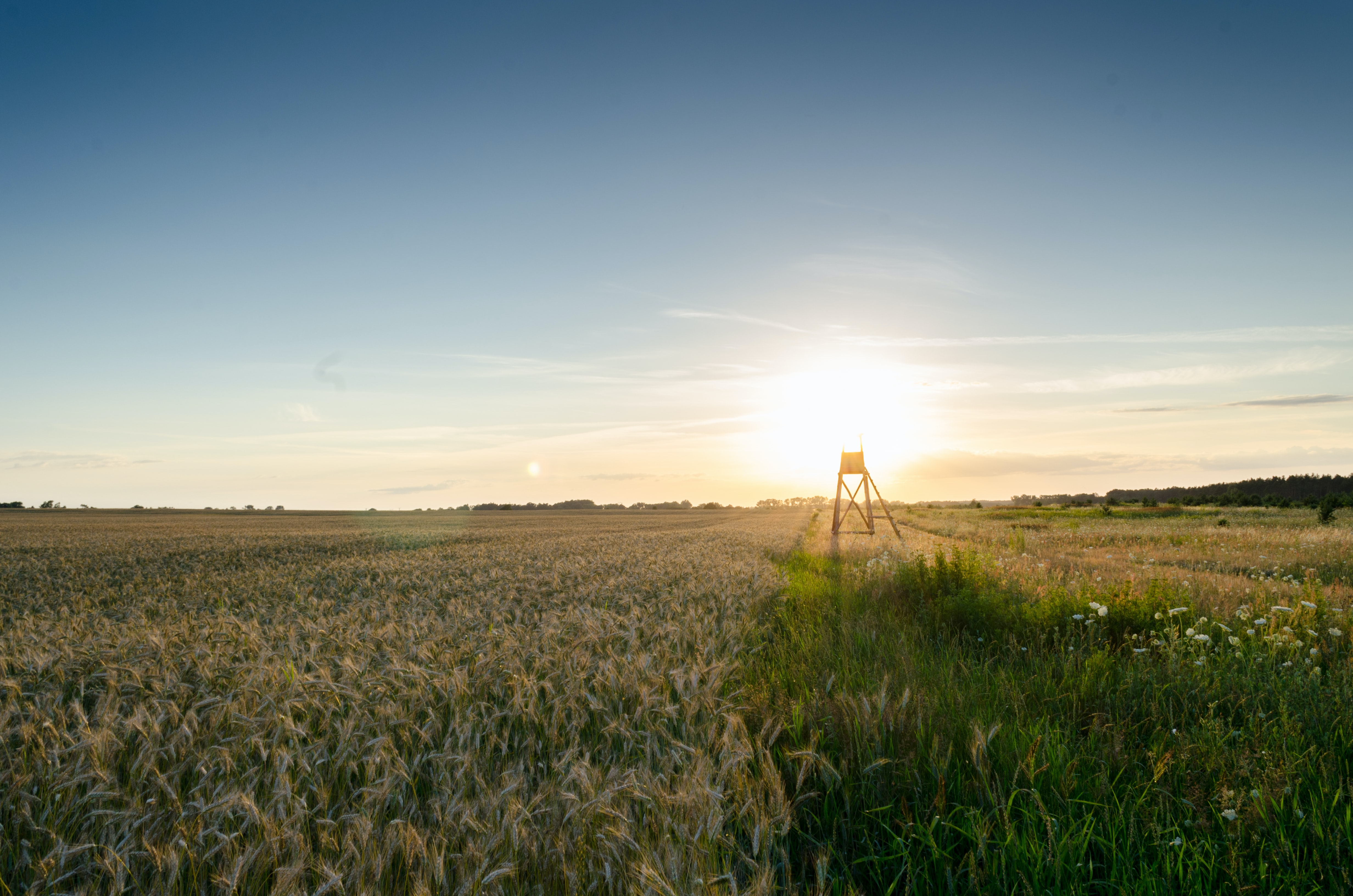 Agriculture Farming Tech Food