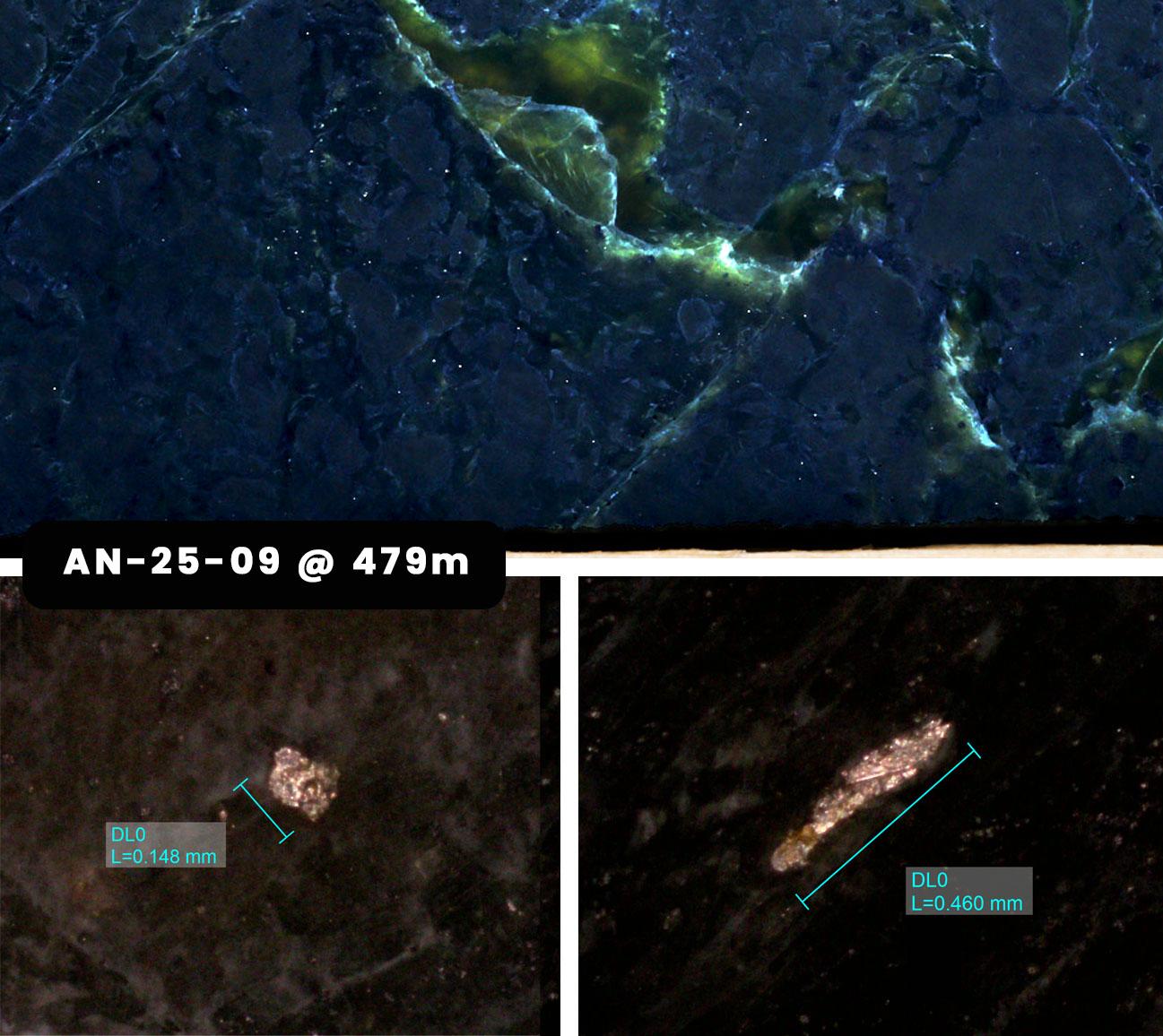 Figure 3 image