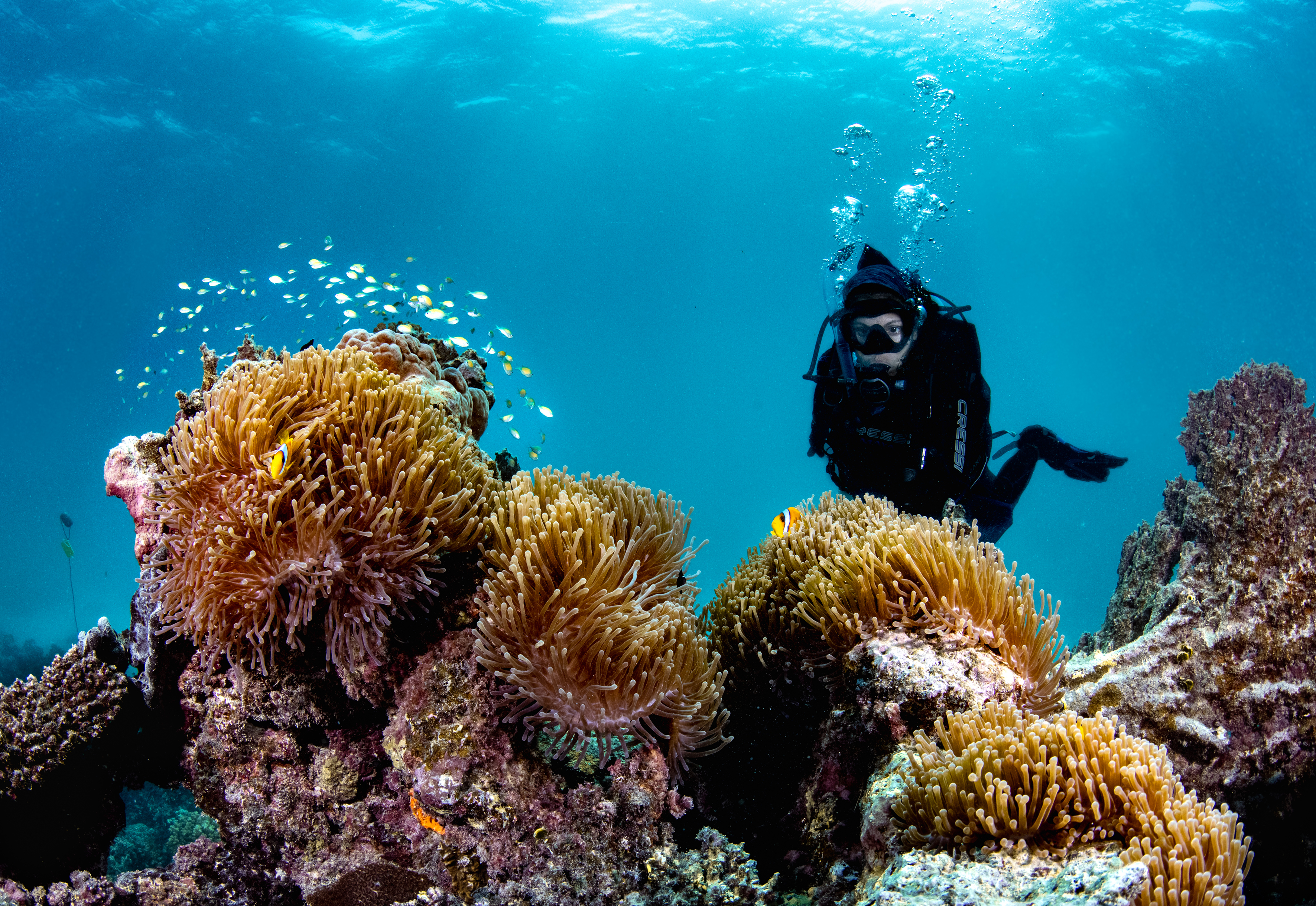 BMMO_1X5A3981-1.MBSmith.KAUST.hres2