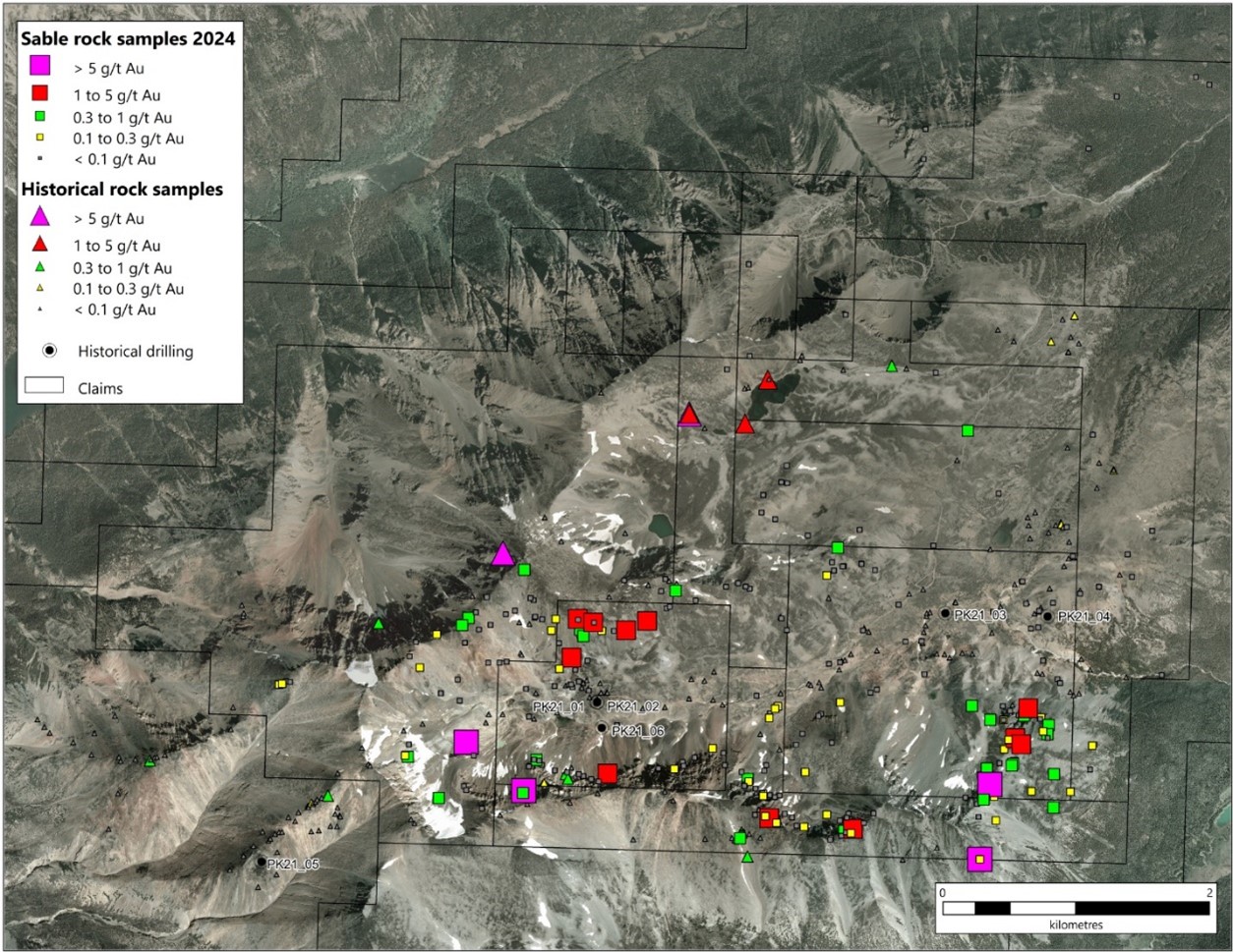 Distribution of gold results at the Perk Rocky project. 