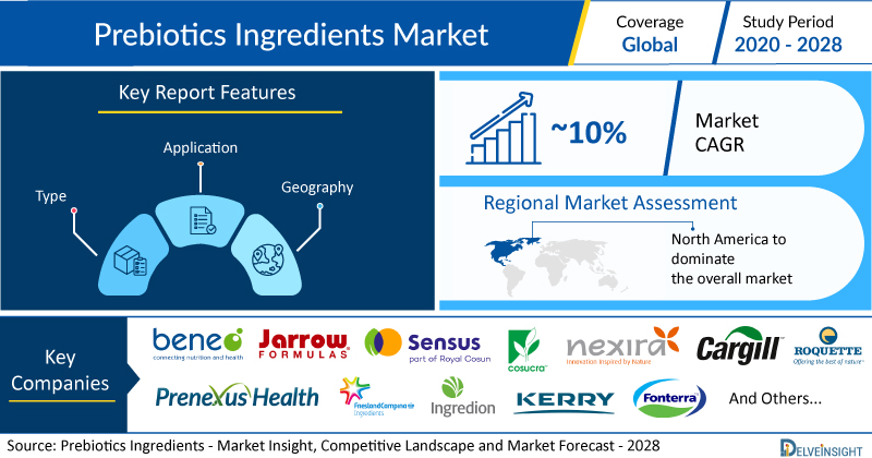 Prebiotics Ingredients Global Market to Observe Impressive Growth at a CAGR of ~10% by 2028 | DelveInsight