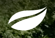 Ponds by Michael Wheat Logo.png