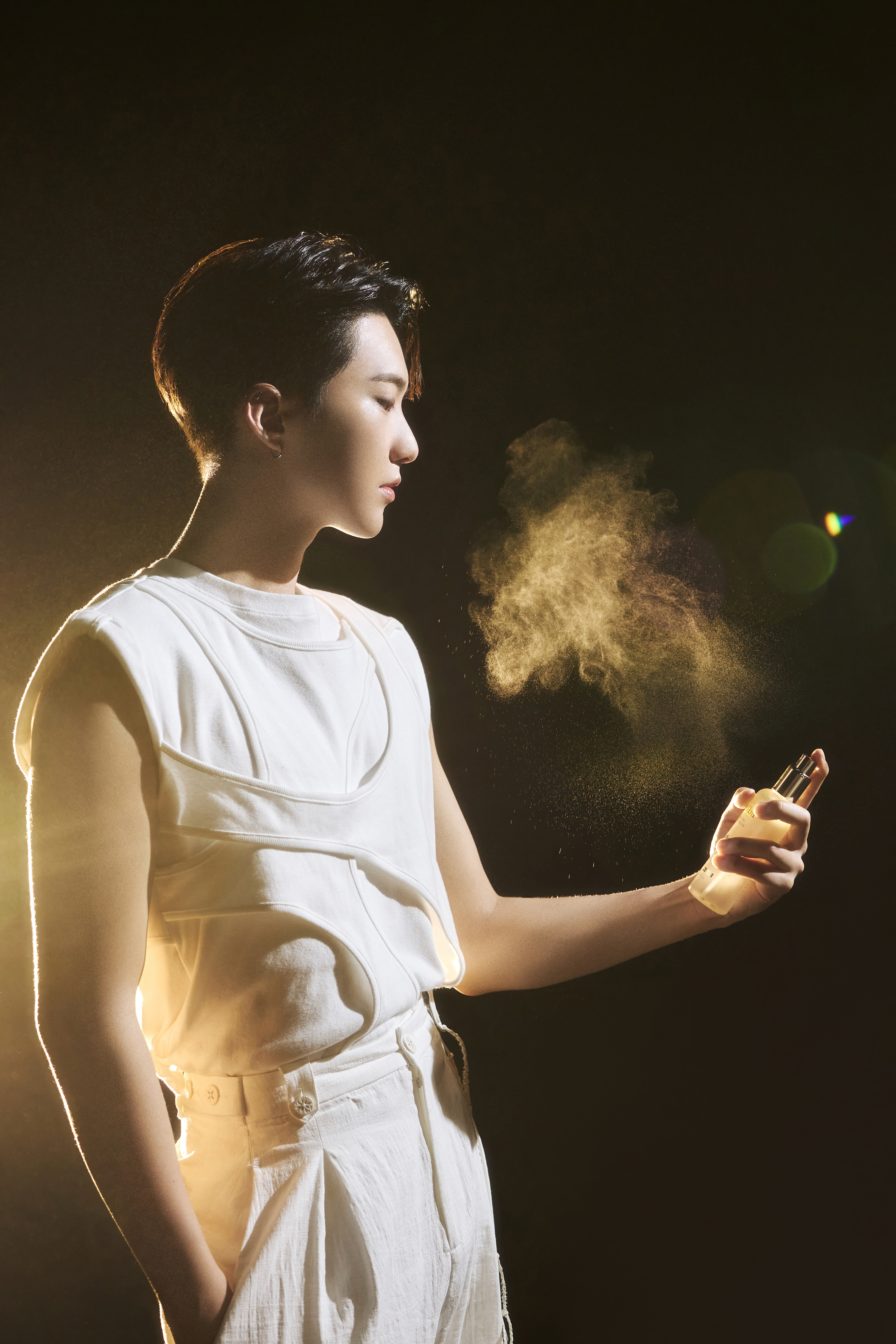 Asia Global Ambassador, Hoshi