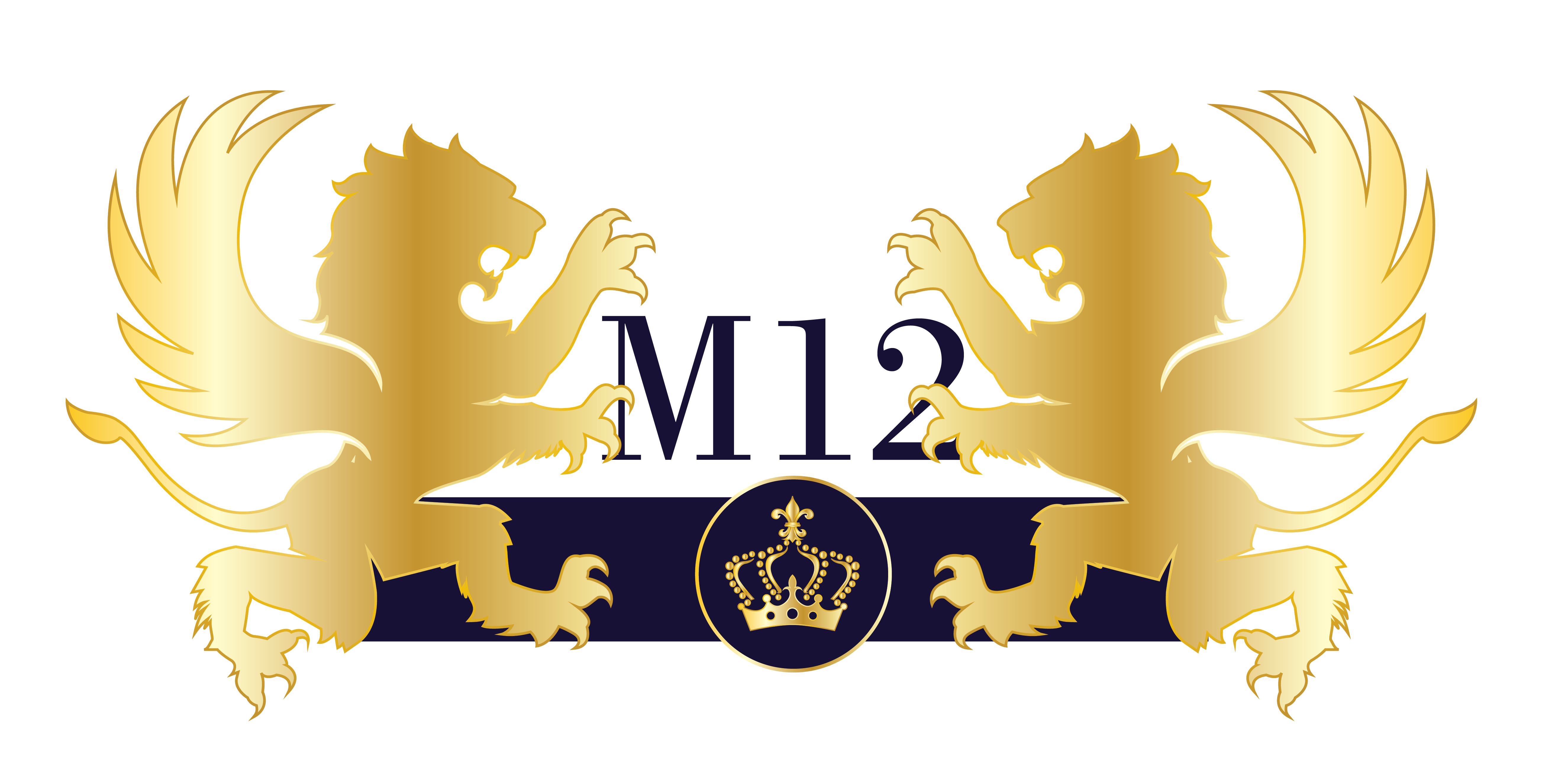 M12-TV Logo.png