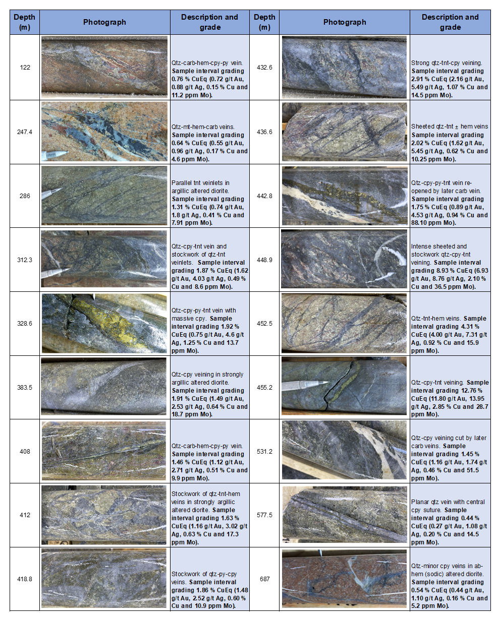 Photos of the diamond drill core from Bg21006 showing the typical styles of veining, mineralization and alteration observed throughout the hole.