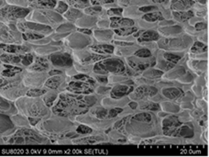 Scanning electron microscope image of a BIOCLENS lens