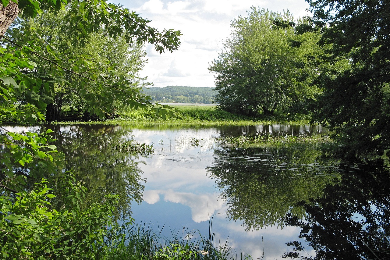 Conserving the wetlands of the Wolastoq