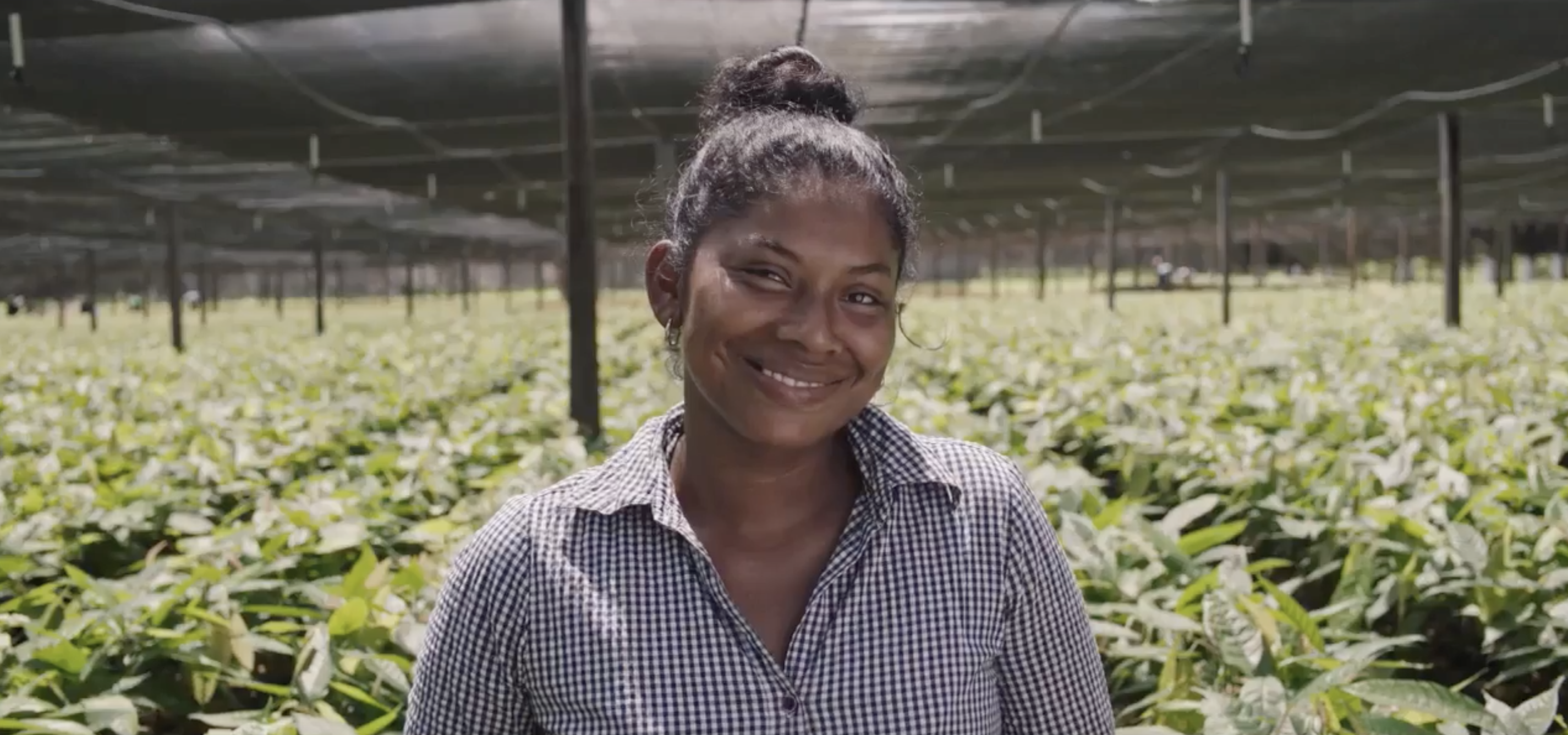 Dinant greenhouse worker