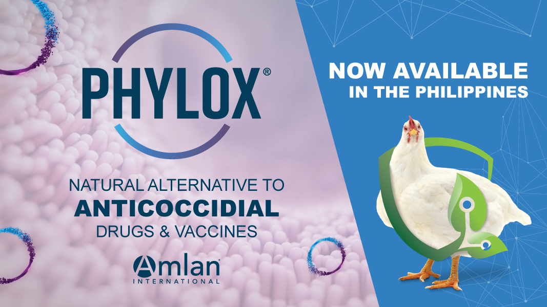 Amlan International announces the launch of Phylox to the Philippine poultry market