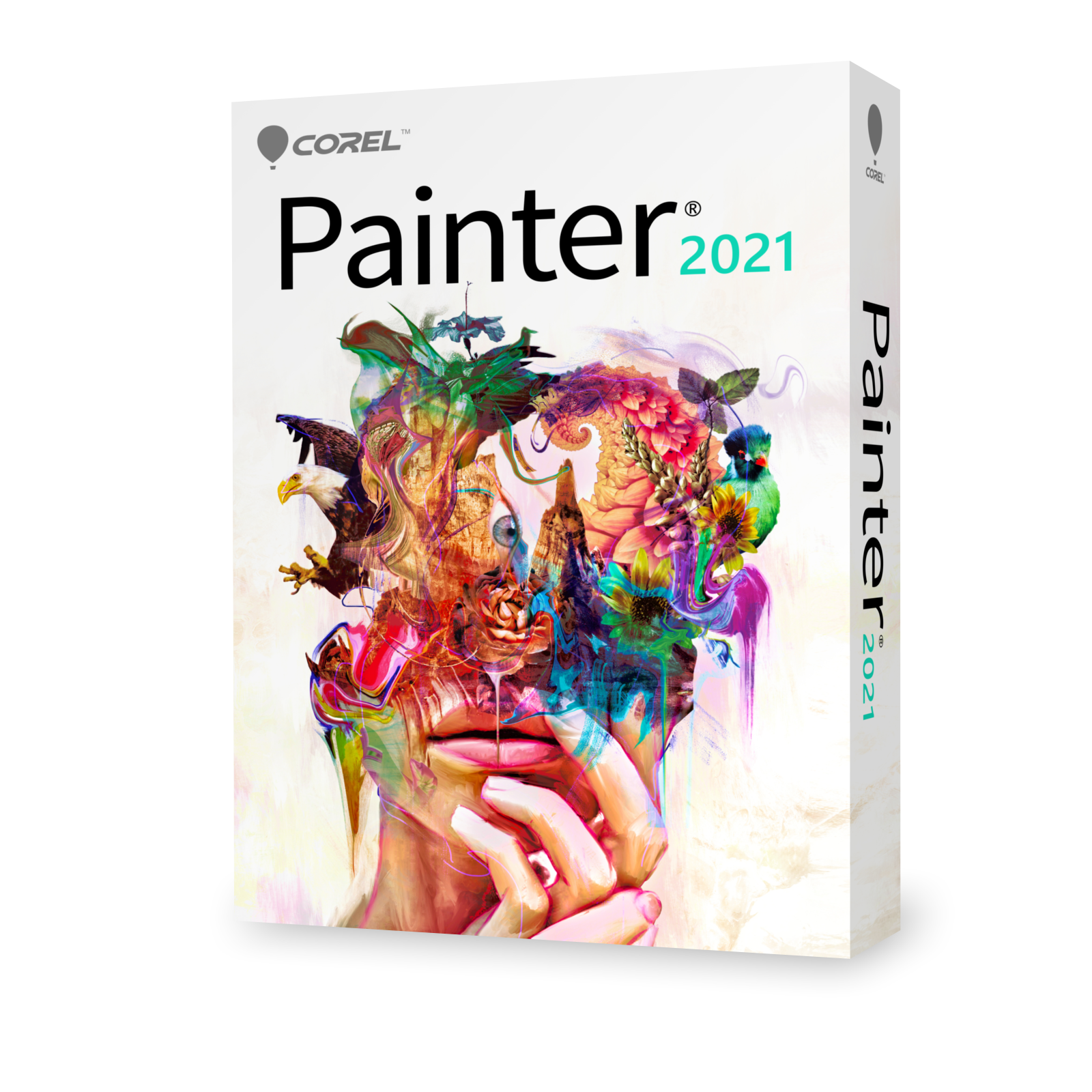 Painter 2021