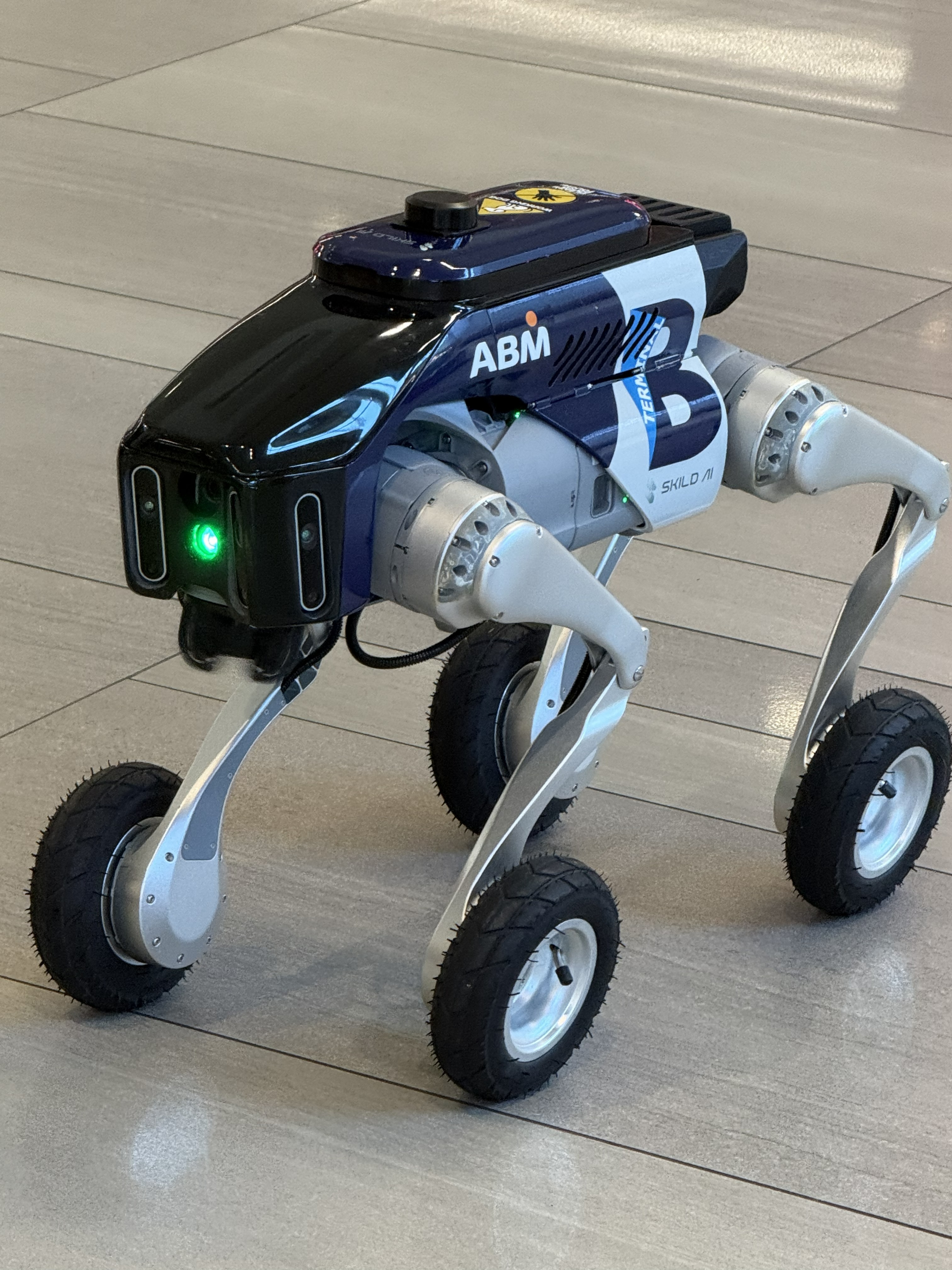 Robotic Dog