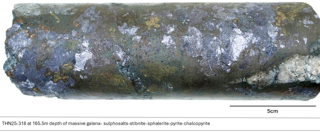 Figure 1 image