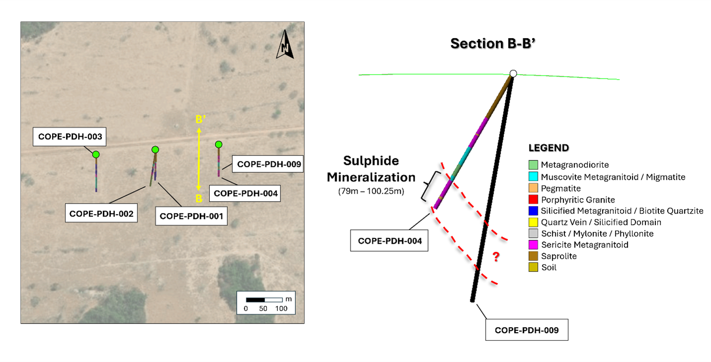 Figure 3 image