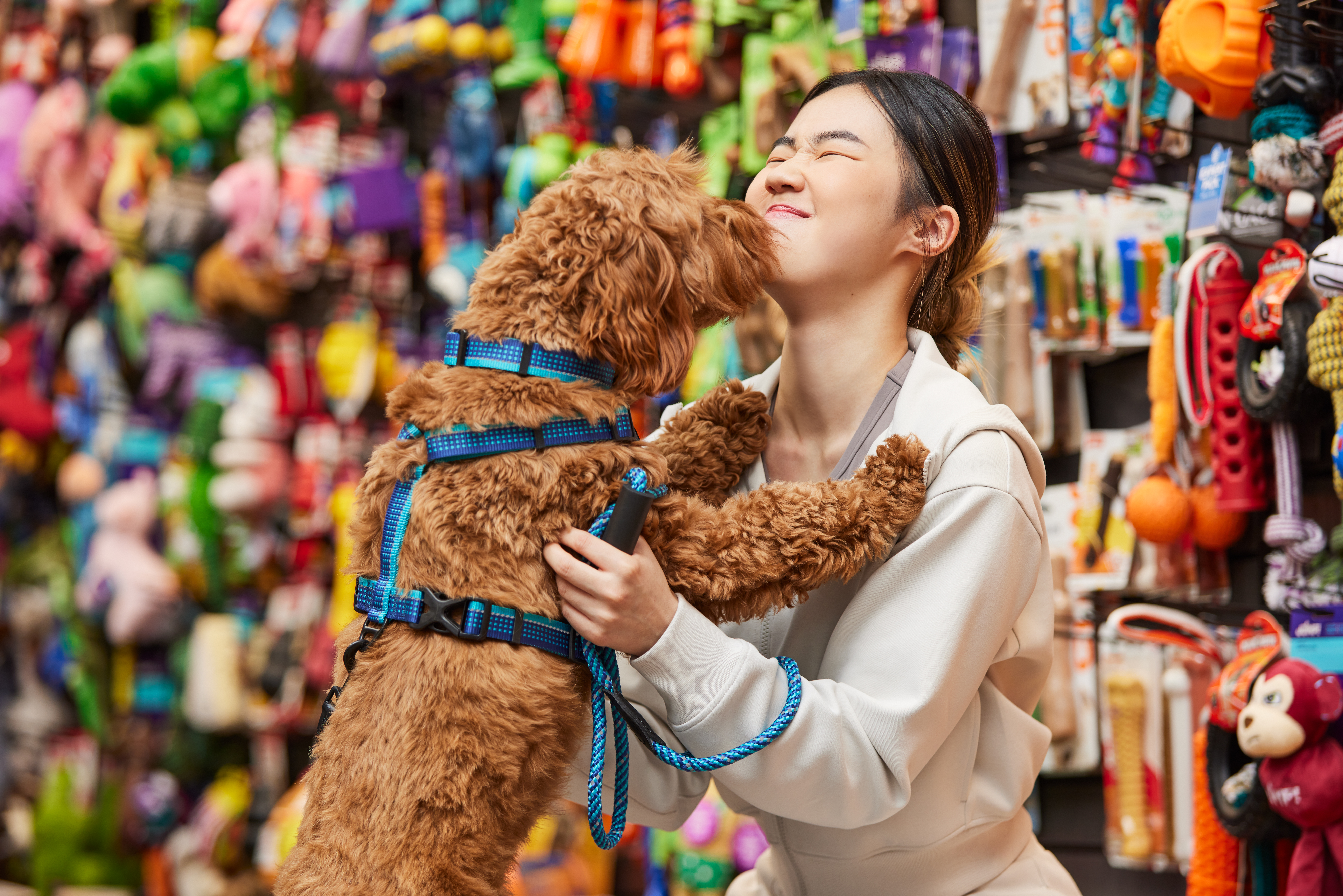 Pet Valu - Dog and DPL