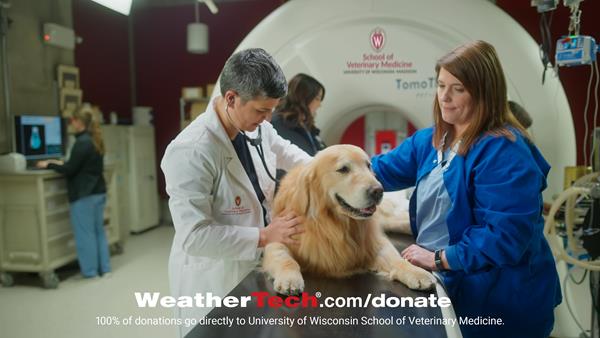 Scout is treated at the University of Wisconsin Madison School of Veterinary Medicine 